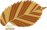 Elm Tree - You're Unbeleafable - Heather Slate Blue